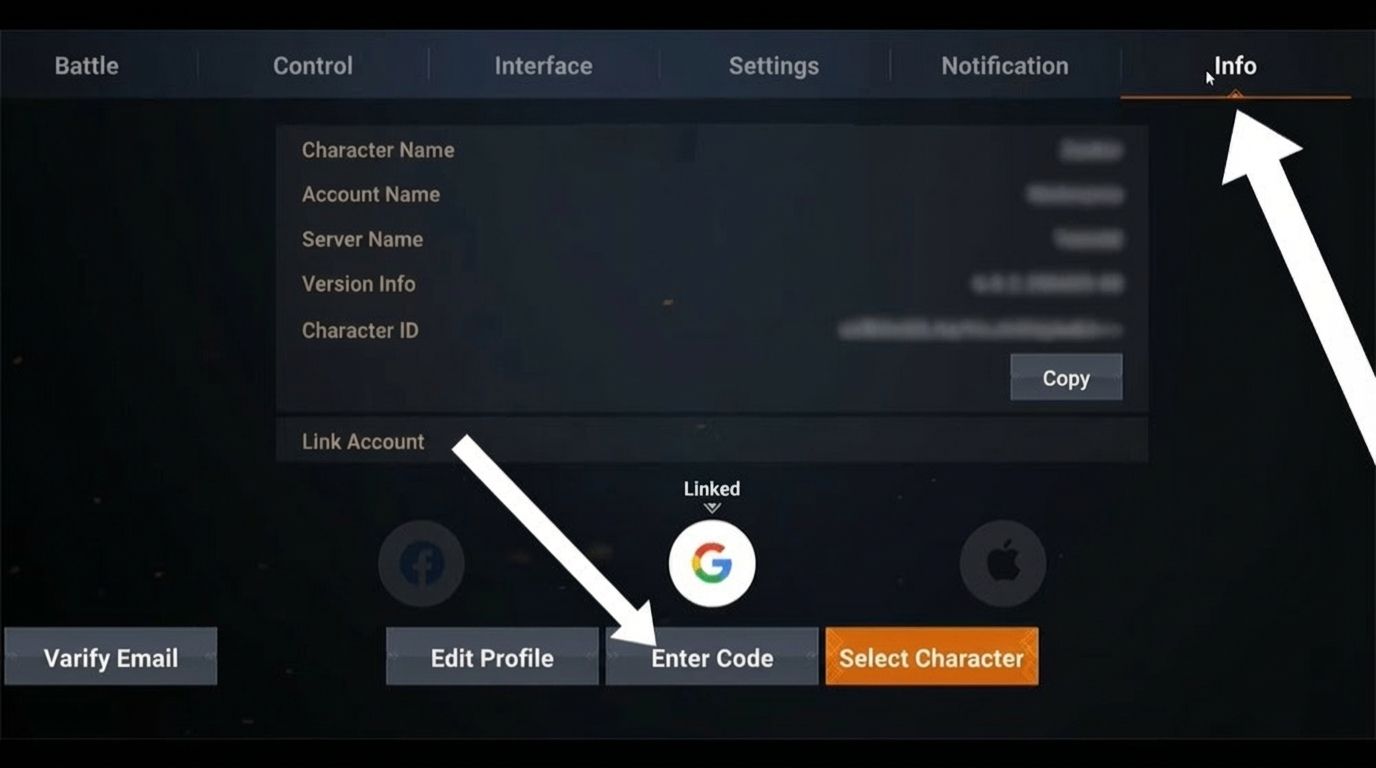 Step 3: In the Settings interface, select the Info tab, then choose Enter Code below.