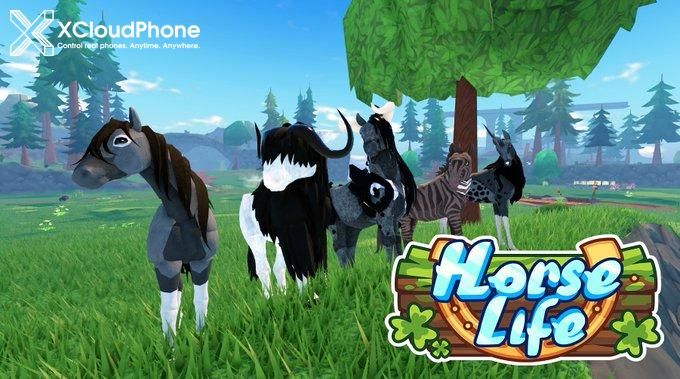 🔥 Последний код подарка Horse Life август 2025 – Получите яблоки, лассо и бесплатные награды!