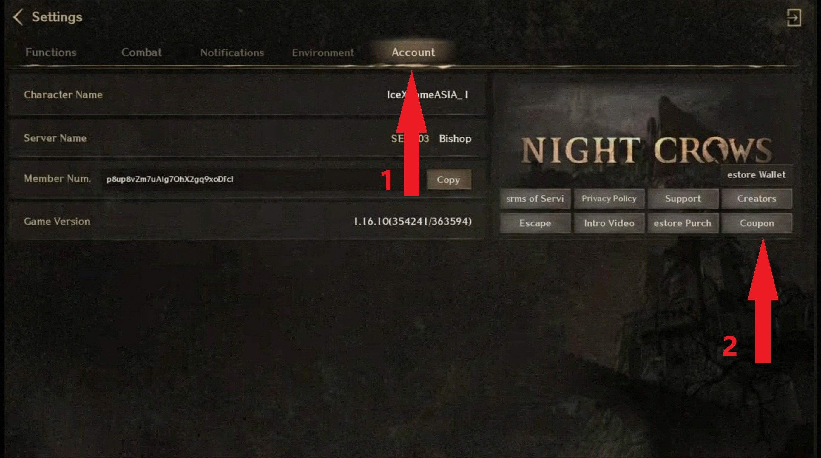 Step 3: Account tab > Coupon button.