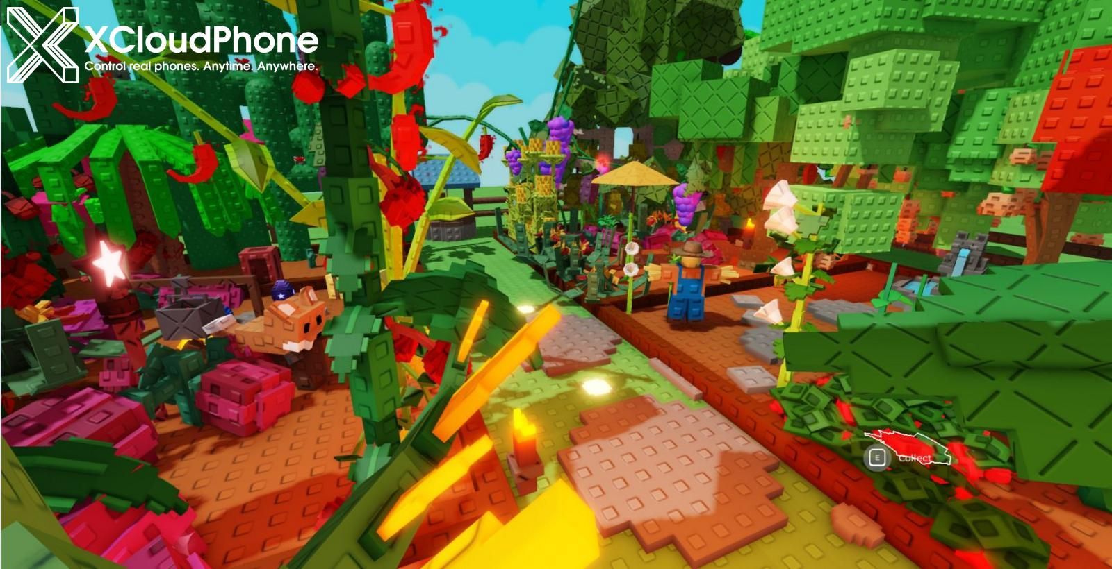 Gift Code Grow a Garden Tháng 8/2025 – Săn Kim Cương, Hạt Giống & Trang Trí Miễn Phí!