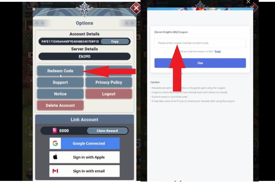 Step 4: Find Redeem Code, paste code from the table.